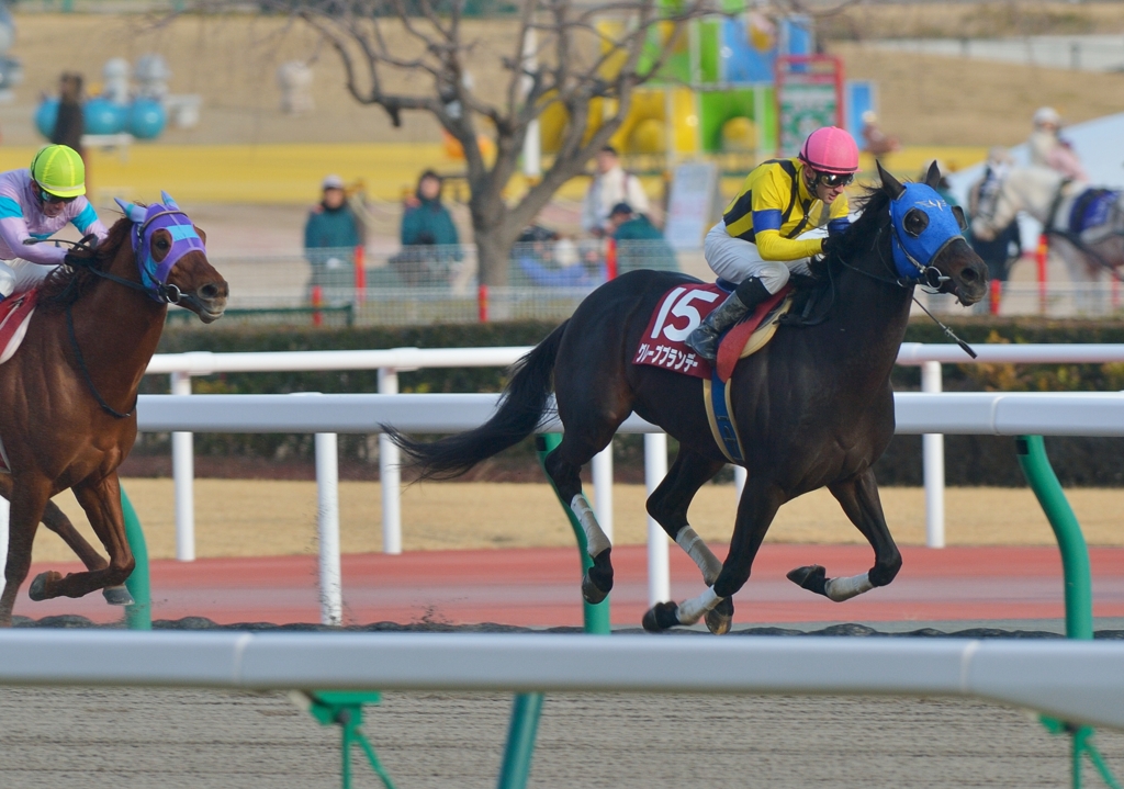 2013 東海S　グレープブランデー