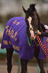 2015 有馬記念 ゴールドアクター
