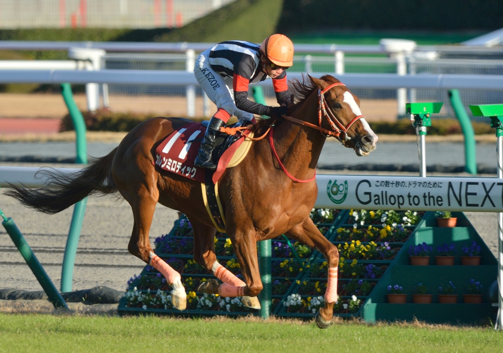 2013 金鯱賞　カレンミロティック
