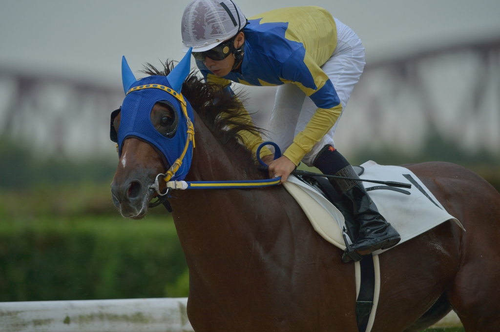 笠松競馬120831⑤