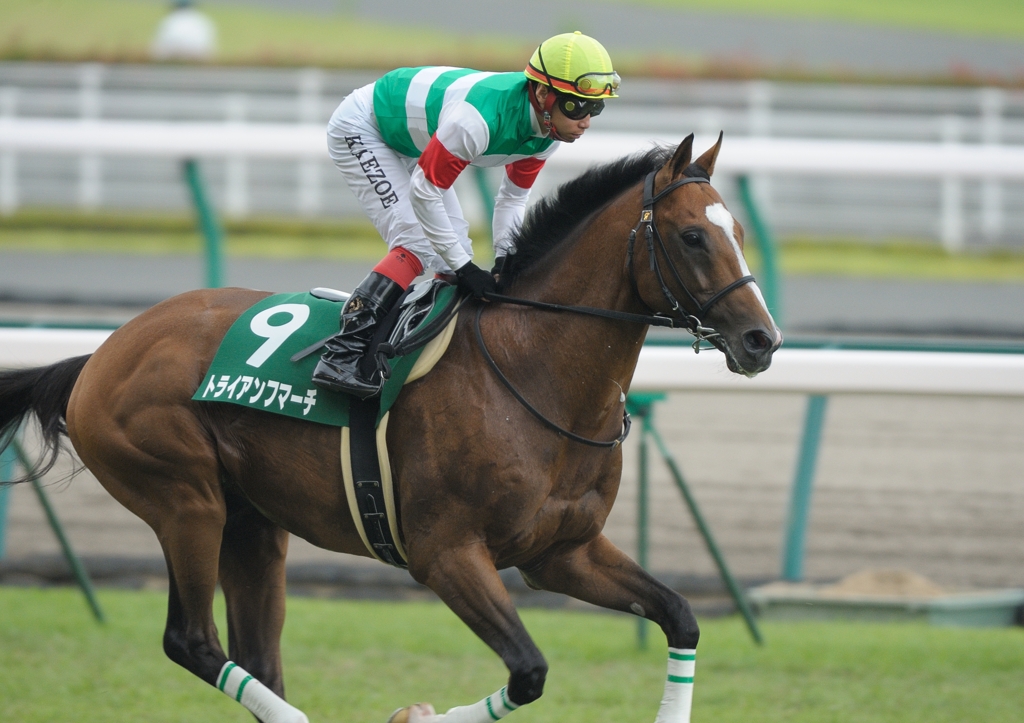 2012中京記念　トライアンフマーチ