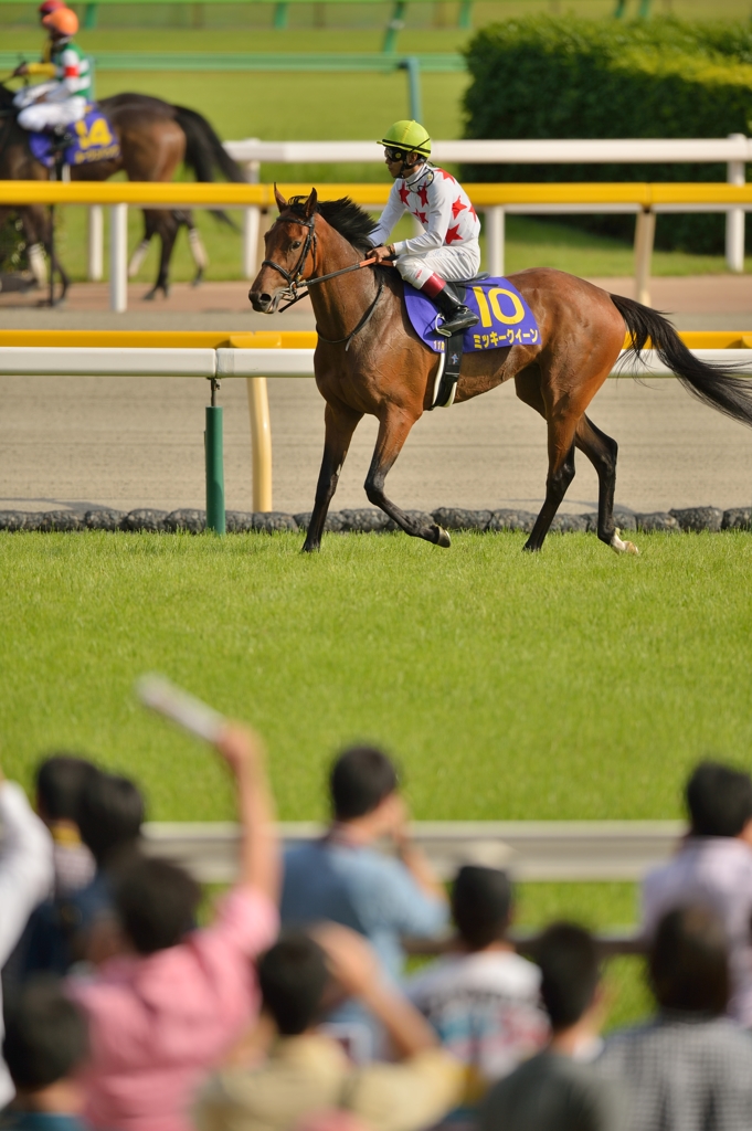 2015 オークス ミッキークイーン