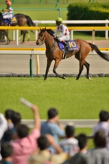 2015 オークス ミッキークイーン