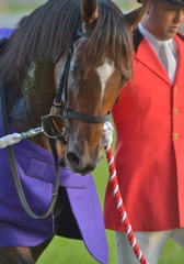 2013 天皇賞(秋)　ジャスタウェイ