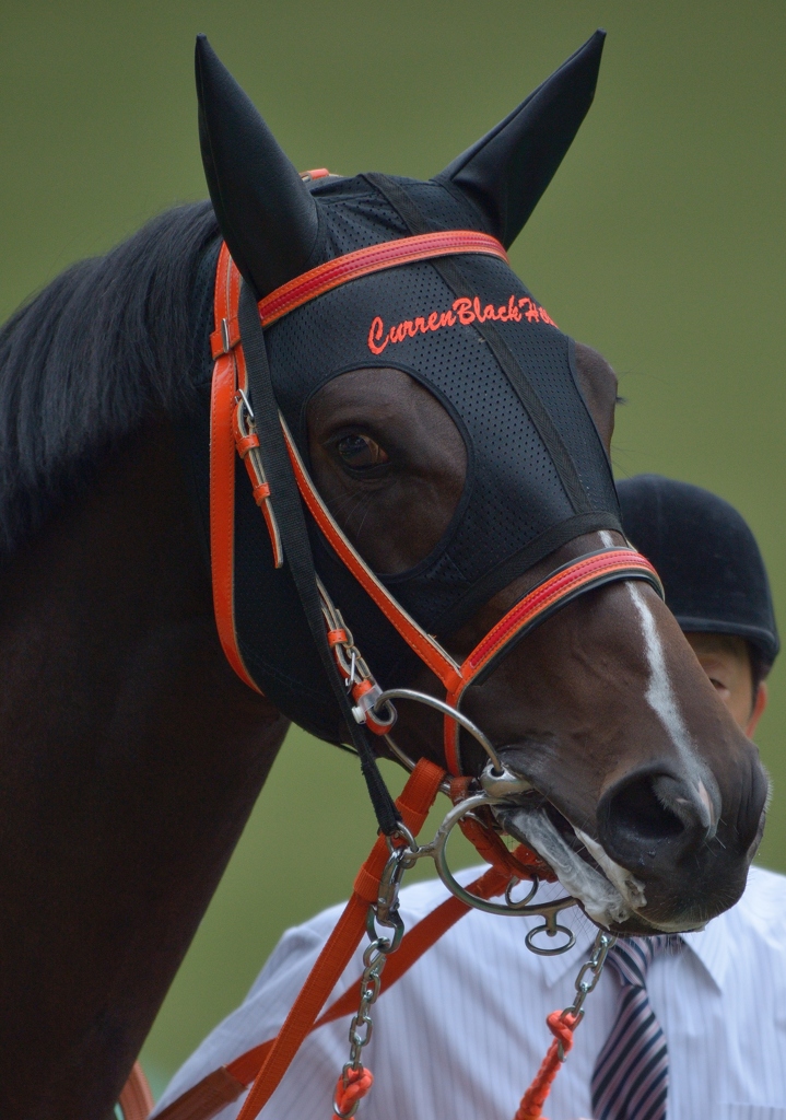 2012　天皇賞(秋) カレンブラックヒル
