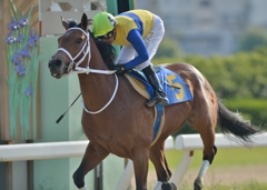 2014　駿蹄賞　リーダーズボード