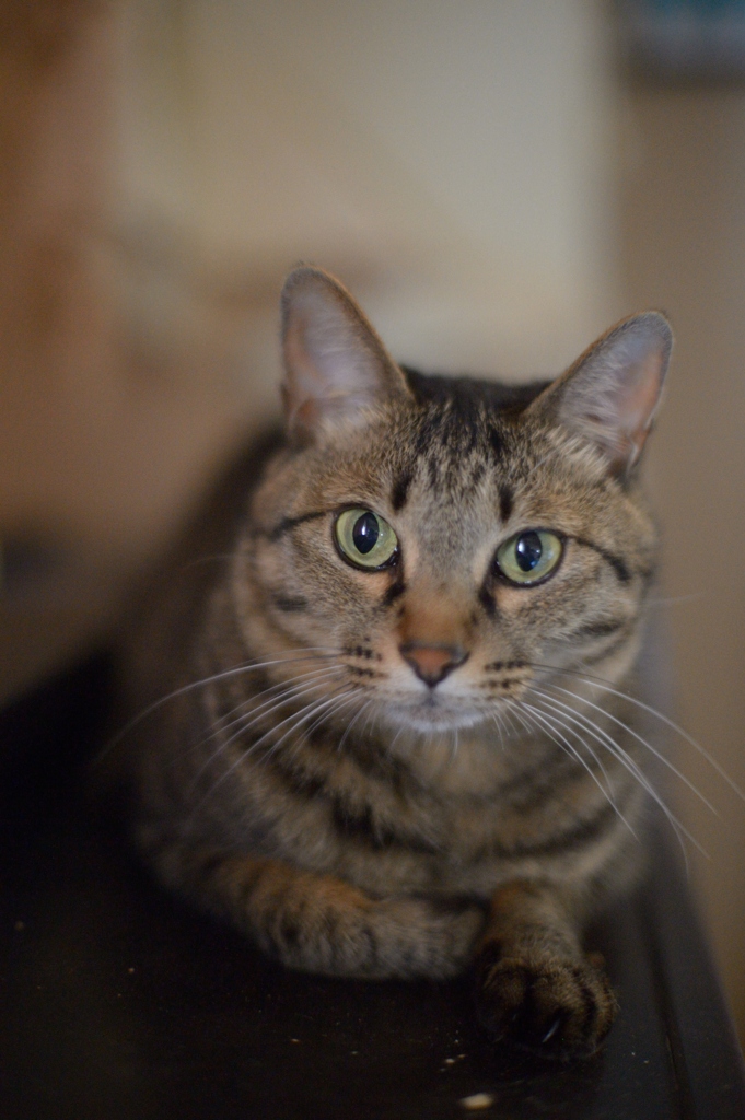 DSC_2023a
