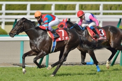 2014　大阪杯　キズナ