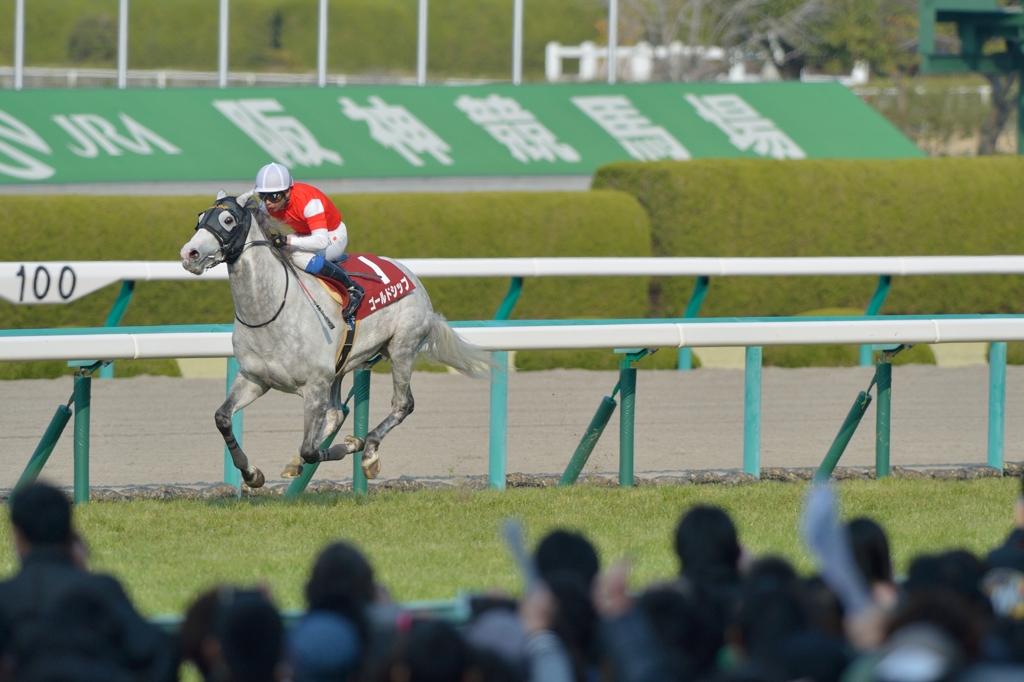 2014　阪神大賞典　ゴールドシップ