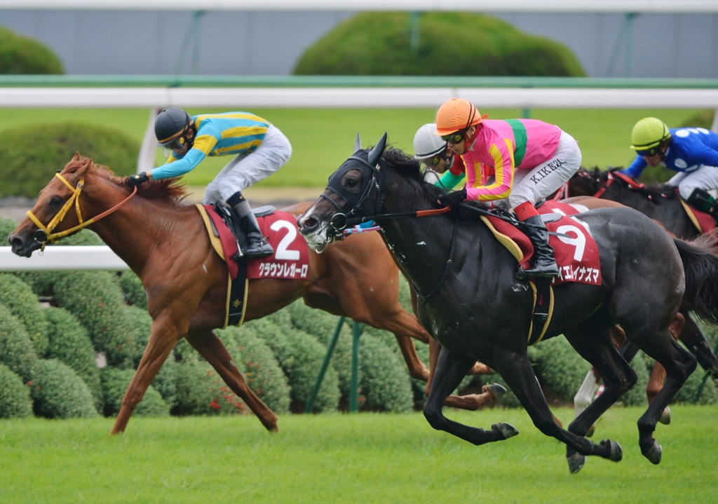 2012　デイリー杯2歳S テイエムイナズマ