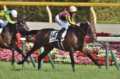 2015 日本ダービー　ドゥラメンテ