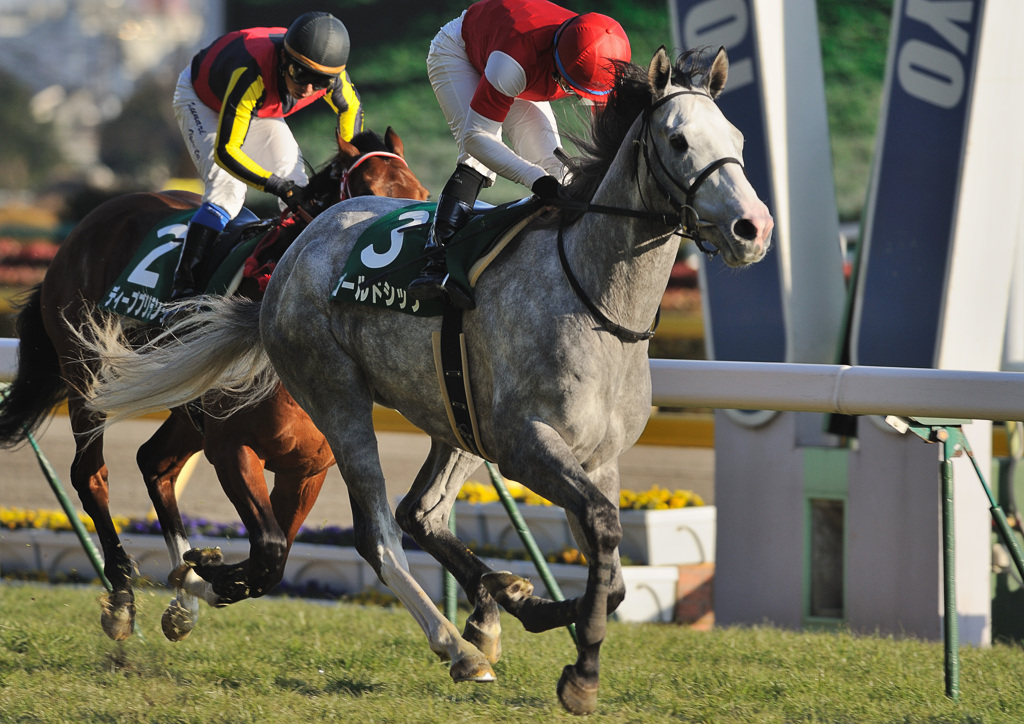 2012共同通信杯　ゴールドシップ