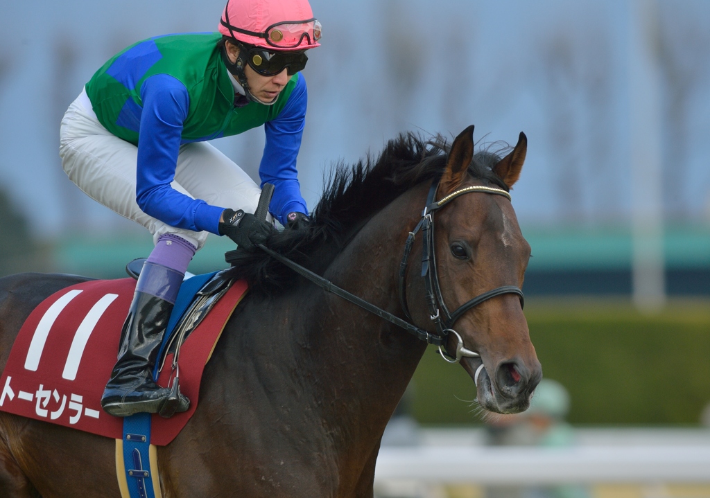 2013 京都記念　トーセンラー