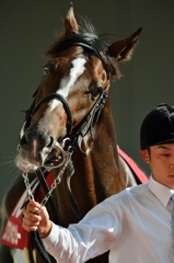 2014 神戸新聞杯 ワンアンドオンリー