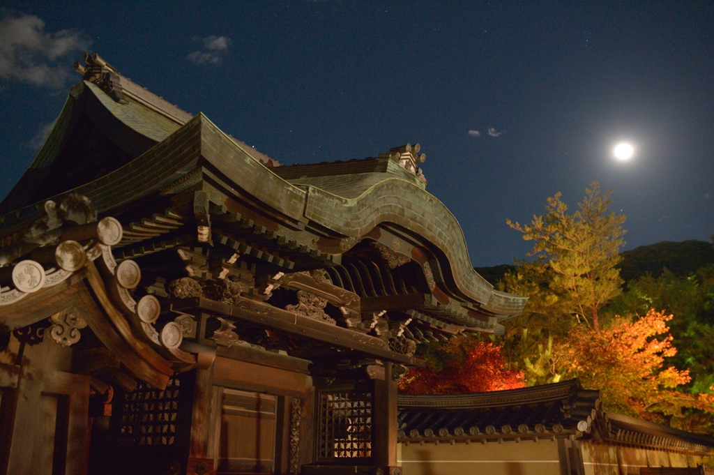 京都　高台寺