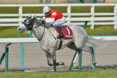 2014　阪神大賞典　ゴールドシップ