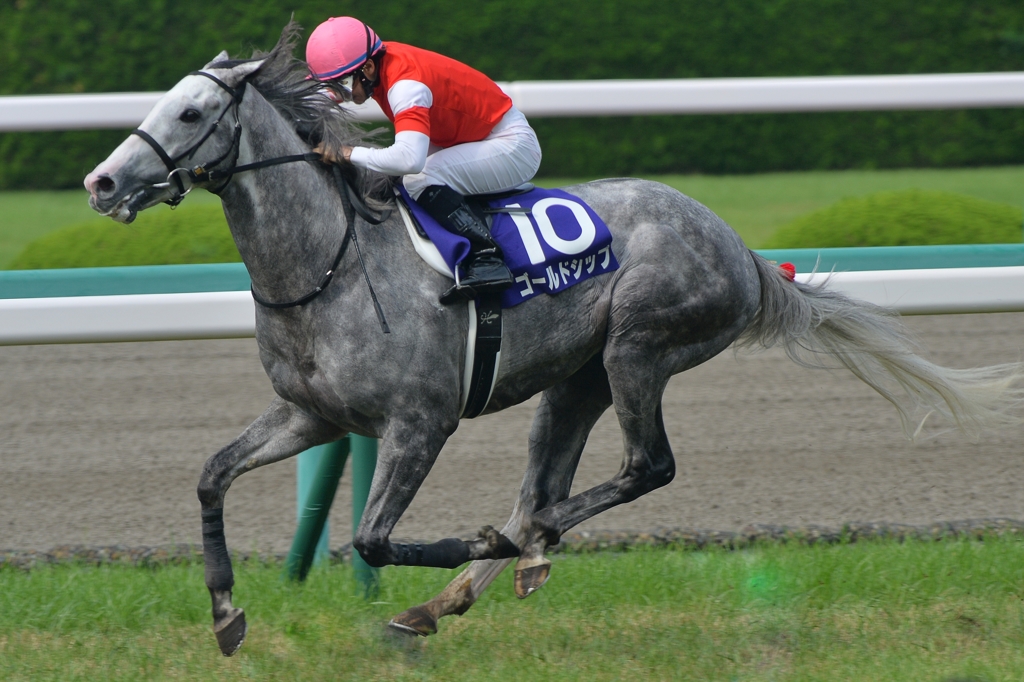 2013　宝塚記念　ゴールドシップ　⑦