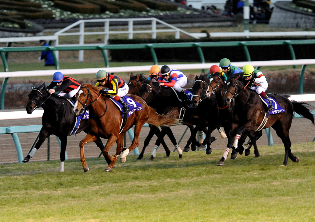 2011有馬記念　オルフェーヴル