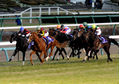 2011有馬記念　オルフェーヴル