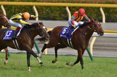 2015 安田記念 モーリス