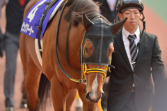 2016 高松宮記念 ビッグアーサー