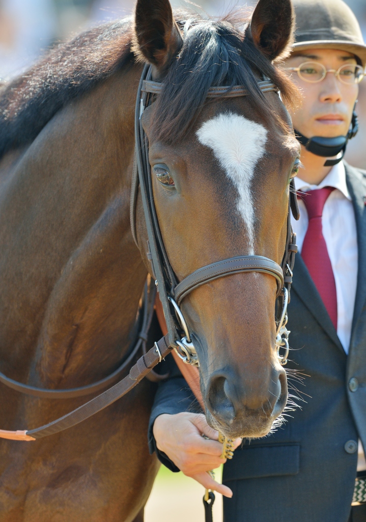 121021  メイクデビュー　エピファネイア