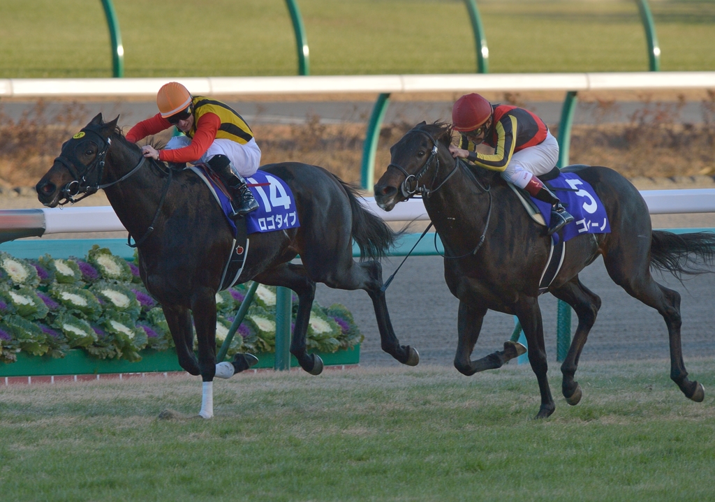 2012朝日杯FS　ロゴタイプ