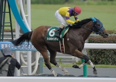 2012 プロキオンステークス　トシキャンディ