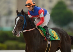 名古屋競馬　ノゾミダイヤ