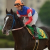 名古屋競馬　ノゾミダイヤ