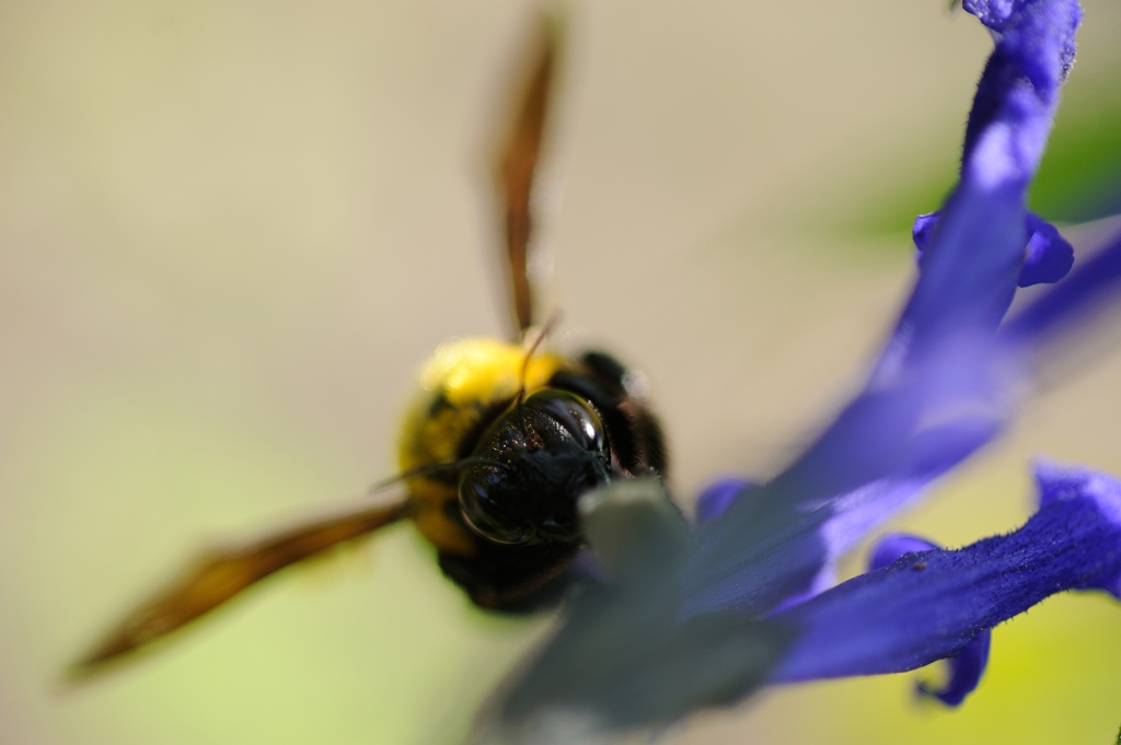 DSC_5033a