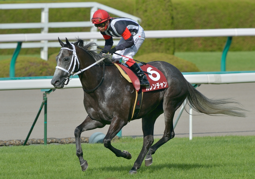 2012セントウルステークス　カレンチャン