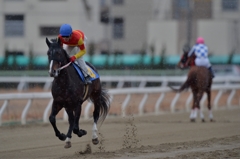 名古屋競馬　アメジストオープン　ノゾミダイヤ