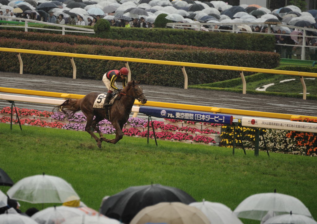 2011 東京優駿　オルフェーヴル