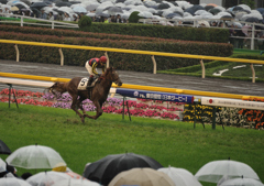 2011 東京優駿　オルフェーヴル