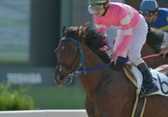 名古屋競馬120903④