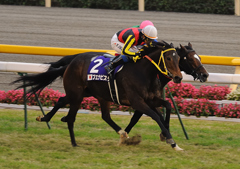 2011ジャパンカップ　ブエナビスタ