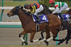 2014 有馬記念 ジェンティルドンナ