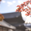 京都 東福寺