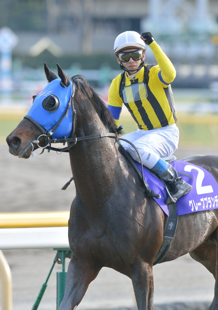 2013　フェブラリーS　グレープブランデー