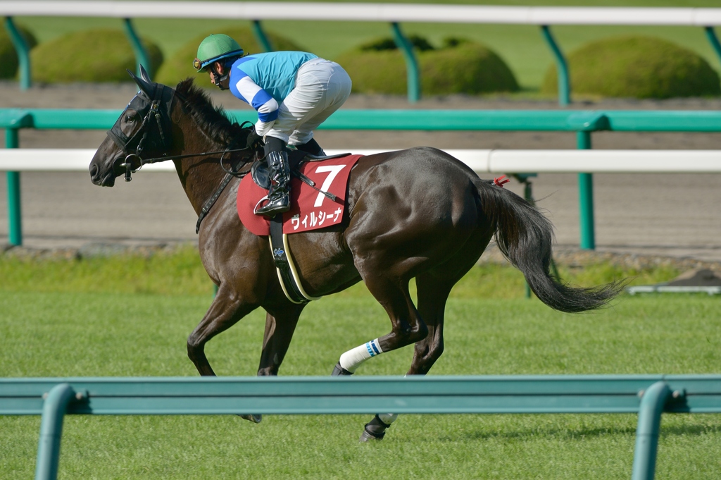 2012ローズS ヴィルシーナ