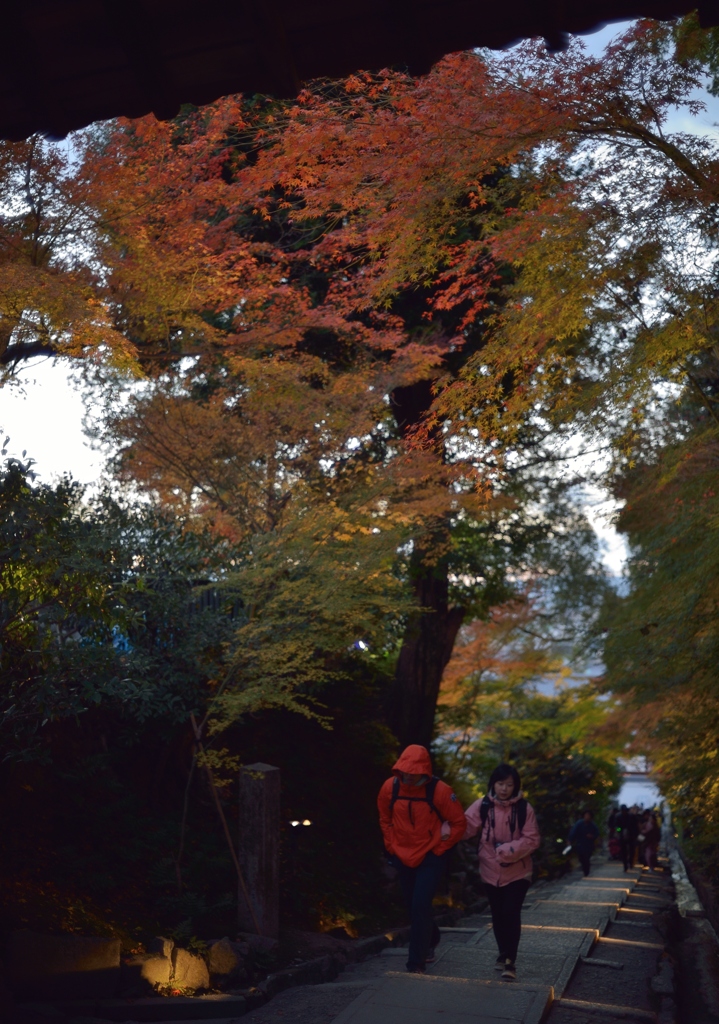京都　高台寺