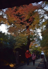 京都　高台寺