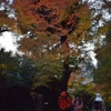 京都　高台寺