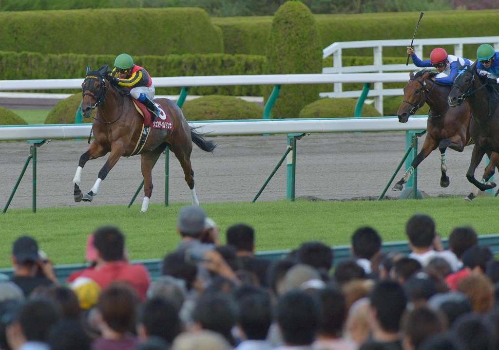 2012ローズS ジェンティルドンナ