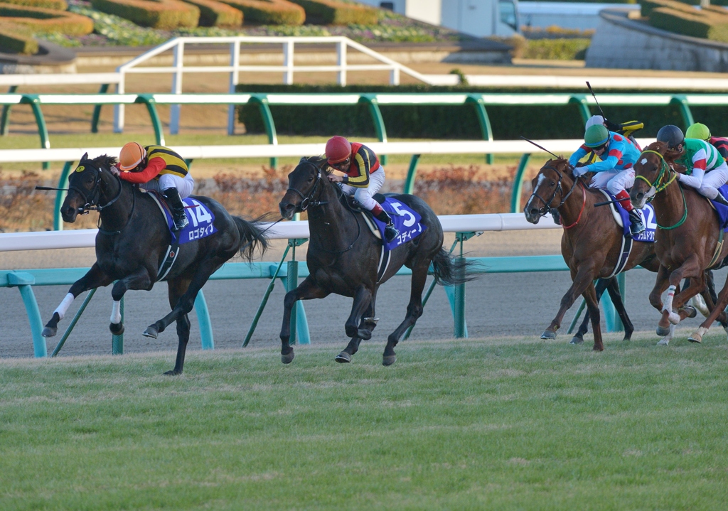 2012朝日杯FS　ロゴタイプ