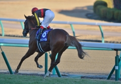 2013 有馬記念　オルフェーヴル
