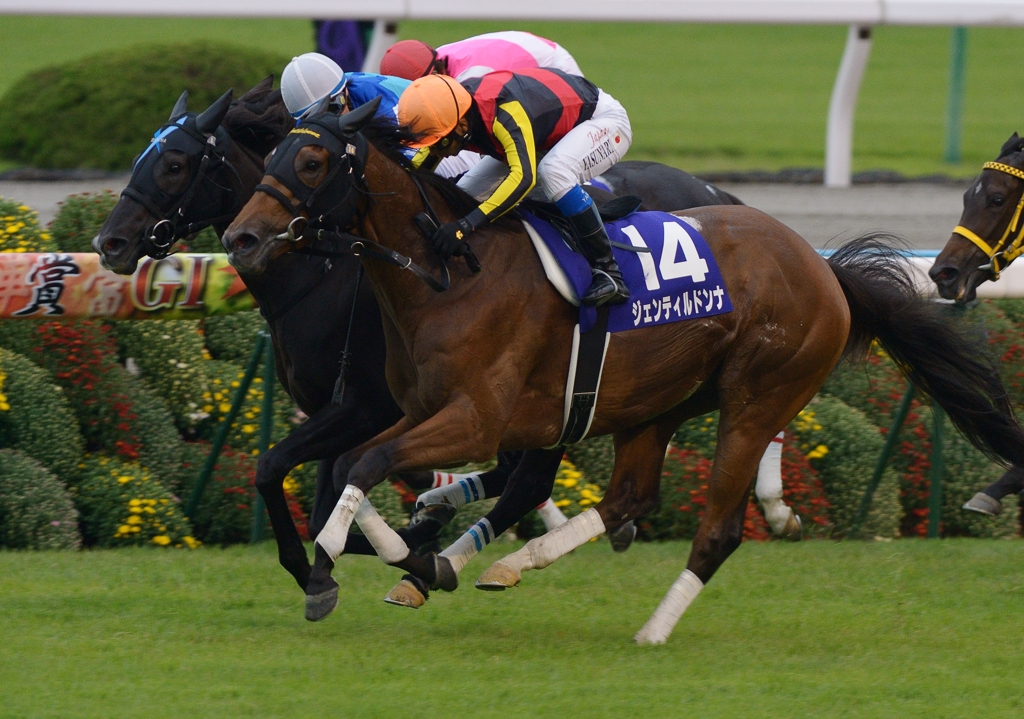 2012　秋華賞　ジェンティルドンナ