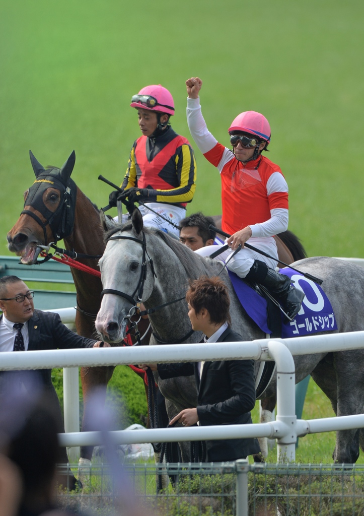 2013 宝塚記念　ゴールドシップ　⑤