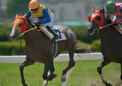 120824名古屋競馬③